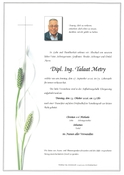 Talaat Metry